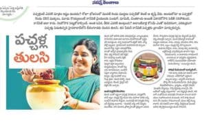 Tulasi Pickles Namasthe Telangana