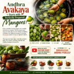 Infographic promoting Andhra Avakaya mango pickles with images of fresh mangoes and preparation steps and jars of pickles on a rustic background, ending with spice icons and a YouTube prompt.